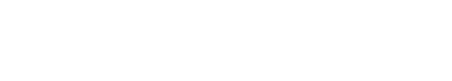 Lobo Assessoria